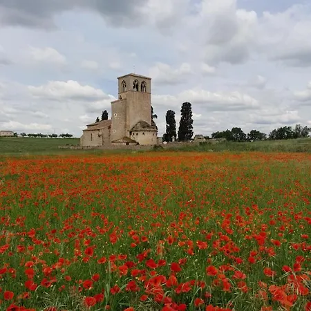 L'occitana *